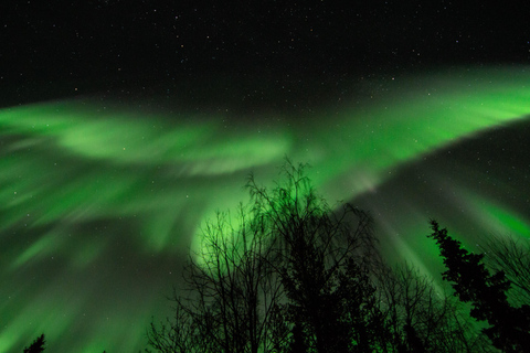 Levi: En busca de la aurora boreal en trineo con moto de nieveLevi: Búsqueda de auroras boreales en trineo de motos de nieve