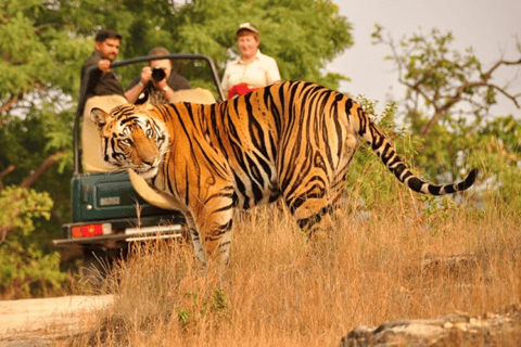6 Days Golden Triangle Tour With Rathambhore Tiger Safari