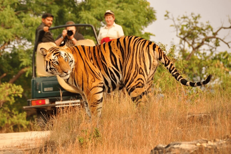 6 Days Golden Triangle Tour With Rathambhore Tiger Safari