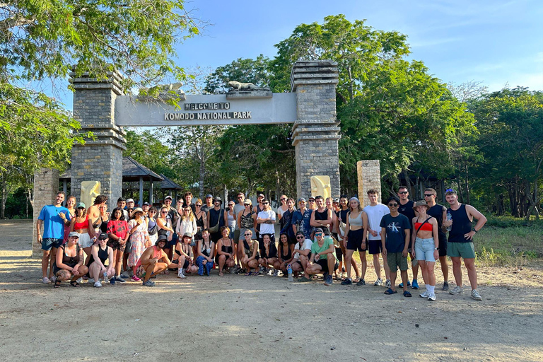 From Gili Trawangan: Whale Shark & Komodo 4-Day Adventure