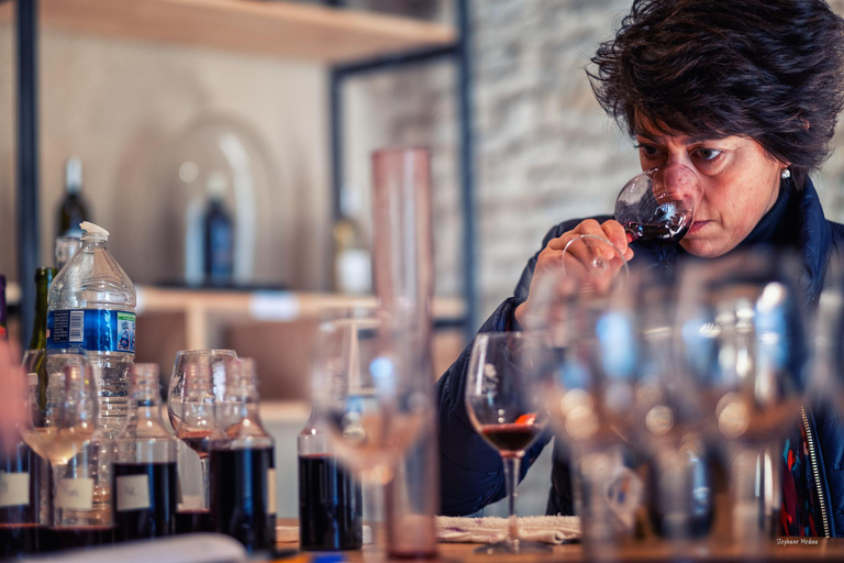 Château de Terride: visita à adega e prova de vinhos