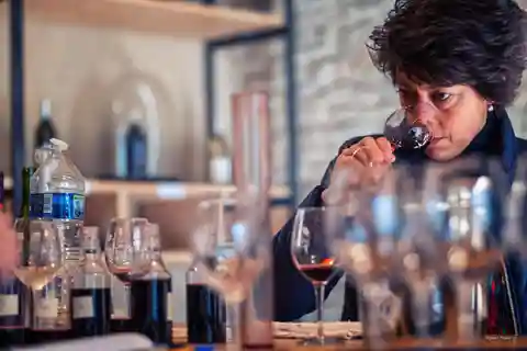 Château de Terride: tour of the winery & wine tasting