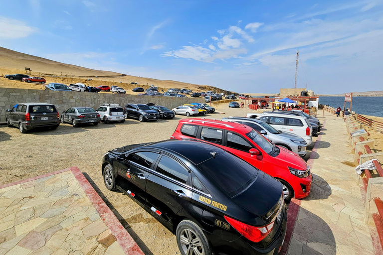 Paracas, Ballestas Islands, & Paracas National Reserve Tour from Ica