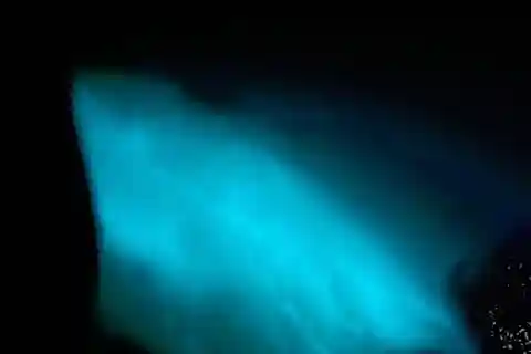 Tour noturno pela Lagoa Luminosa águas brilhantes