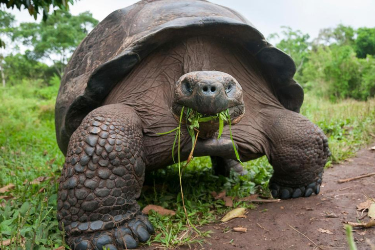 Zanzibar: Prison Island, Jozani Forest and Paje Beach Tour