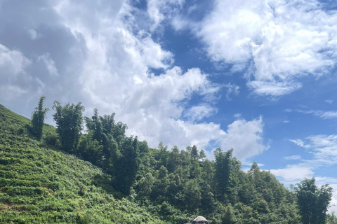 Randonnée dans le village de Red Dao et bain aux herbes