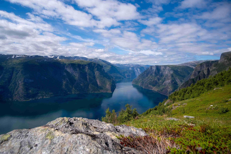 Bergen: Stegastein, Viking Village, Flåm & Nærøyfjord Cruise