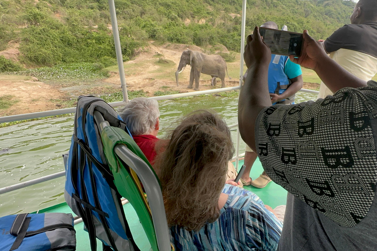 11 dagars vandring med schimpanser, gorillaspårning och djurliv