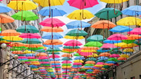 Timișoara, Vicoli della Città Vecchia Self-guided Explorer Walk - Hizvo