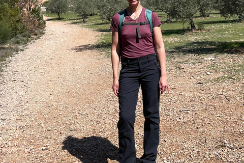 Aix-en-Provence: Watercolor and Sketching Walk in the Footsteps of Cézanne