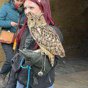 Edinburgh: Real-Life Harry Potter Walking Tour