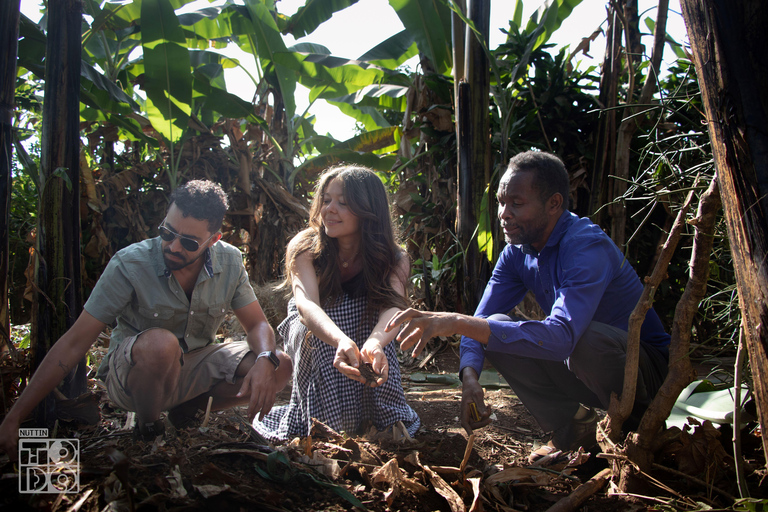 Urwagwa Banana Beer Making Experience med transport