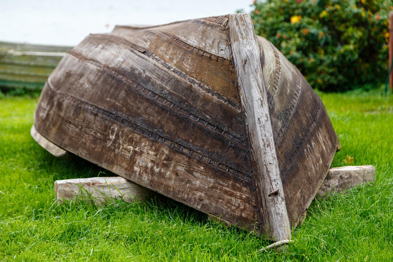 Skip-the-Line Estonian Open Air Museum Private Guided Tour 2-hour: Estonian Art Museum Tour
