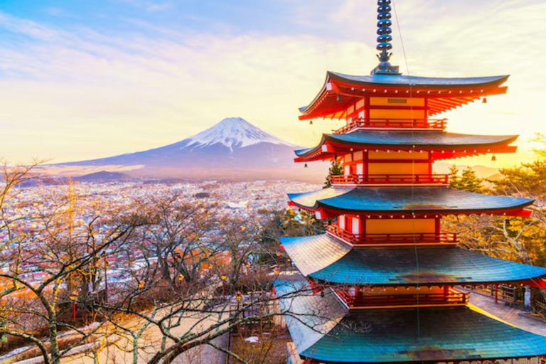 Mt Fuji Private Luxury Full-Day Tour with customization