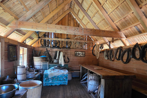 Zakopane: Tatra Mountains Horseback Ride & Thermal Baths
