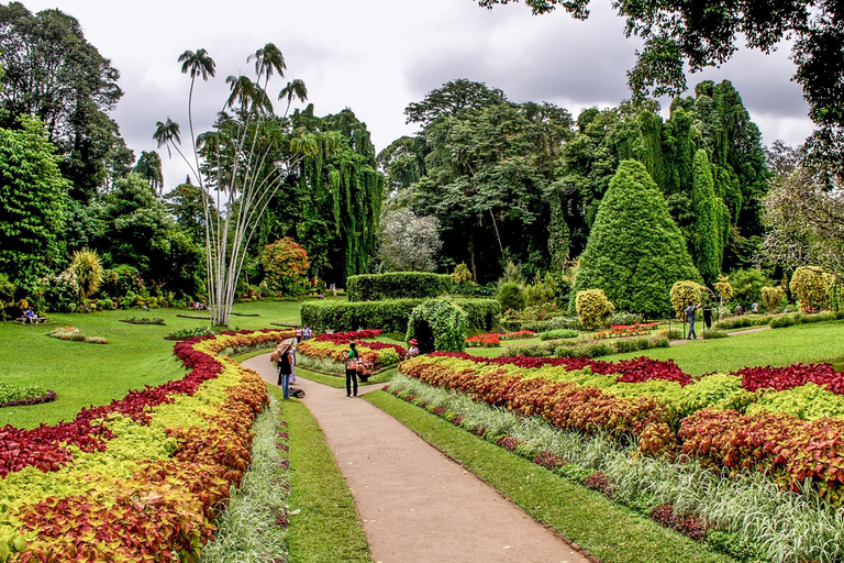2-Day Kandy Escape: Botanical Gardens, Views & Ayurvedic Spa