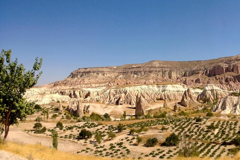 Cappadocia: Small-Group(12pax) Tour with Lunch and Transfers