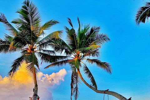 Mirissa: Private Coastal Tour with Coconut Tree Hill