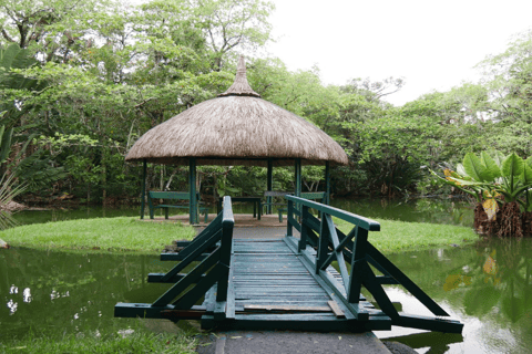 Excursion dans le nord de l&#039;île Maurice avec Port Louis et le jardin botanique