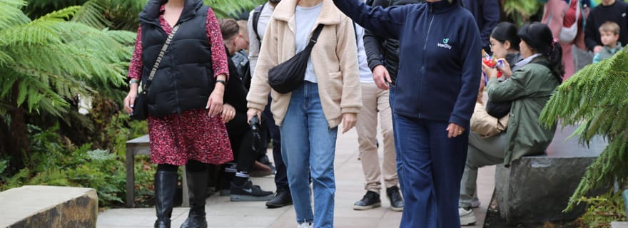 Londres : visite express du musée d'Histoire naturelle et application audio