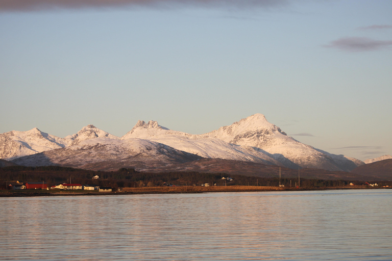Tromsø: 2-Hour Island Tour Cruise with Snacks and Drinks