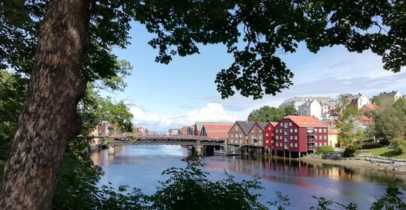 Trondheim : Entdecke die Stadt der Könige mit einem ortskundigen Guide