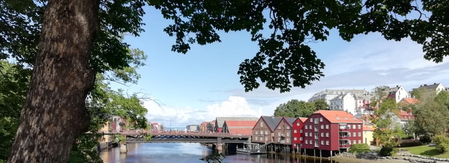 Trondheim : Explorez la ville des rois avec un guide de région