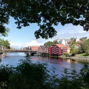 Trondheim : Entdecke die Stadt der Könige mit einem ortskundigen Guide