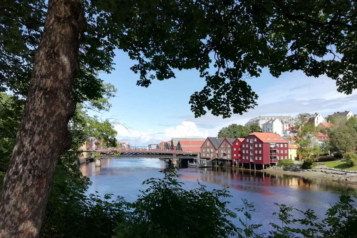 Trondheim : Explore the city of kings with a local guide - Trondheim : Explore the city of kings with a local guide