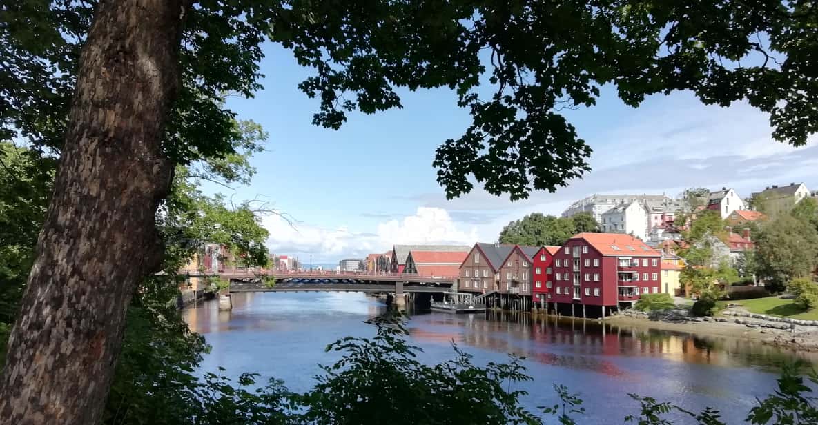 Entdecke Trondheim – Stadtführung mit ortskundigem Guide