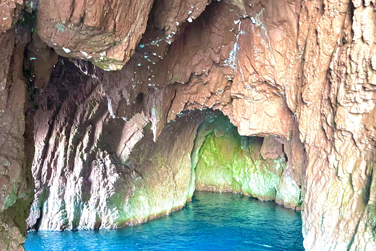 De Sagone/Cargèse: Passeio de barco por Scandola, Piana e Girolata