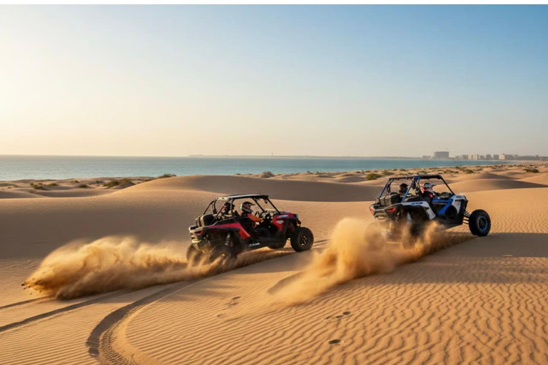 Qatar Desert Trails: Horse Ride & Dune Buggy Adventure