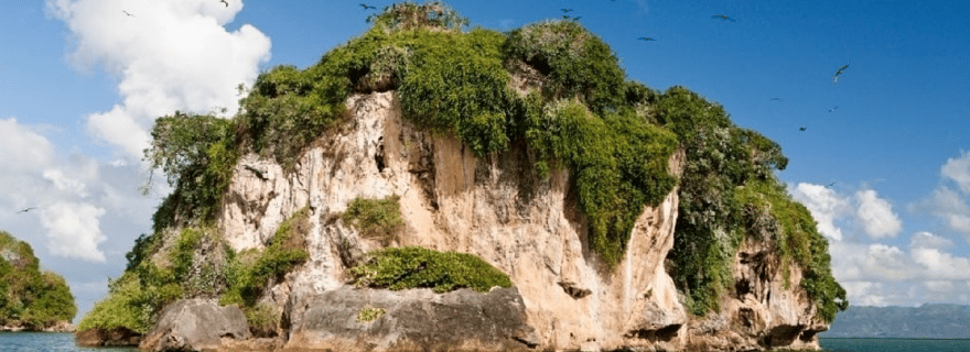 Depuis Samana : Excursion en bateau et à pied à Los Haitises avec déjeuner