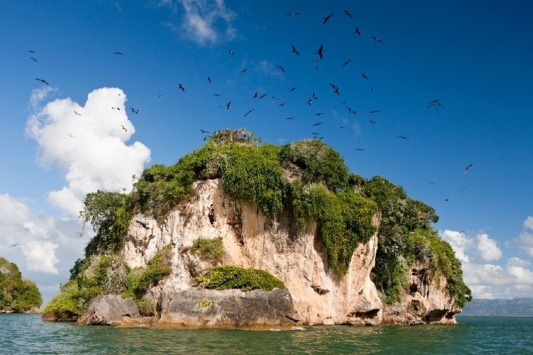 Los Haitises National Park: Boots- und Wandertour mit MittagessenVon Punta Cana mit Transfer