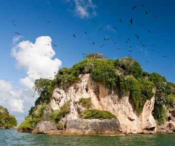 From Samana: Los Haitises Boat and Walking Tour with Lunch