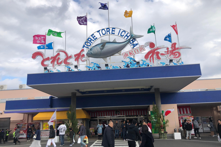 From Osaka: Shirahama Coastal Scenery Day Tour