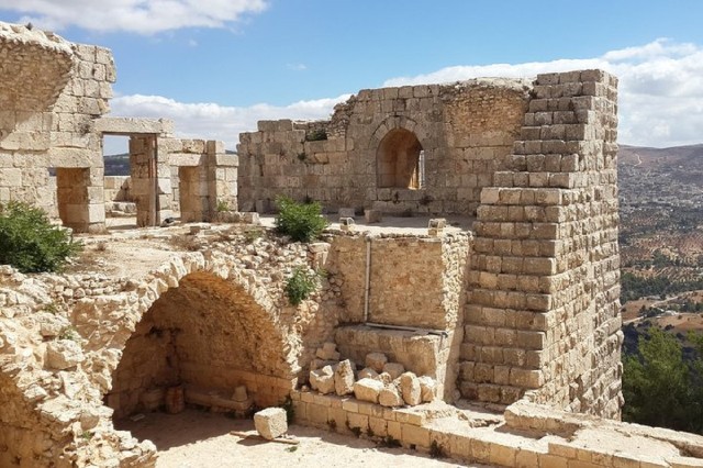Amman - Jerash - Ajloun en Umm Quais dagexcursie