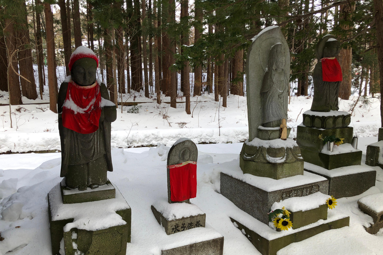 Sapporo Solo Traveler´s Tour: Explore With a Local Friend