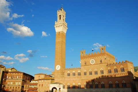 Hele dag Siena, San Gimignano en Chianti vanuit Florence