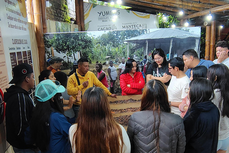 Excursion d&#039;une journée complète à Mindo, tout compris, avec transport depuis Quito.Excursion d&#039;une journée complète à Mindo, tout compris, avec transport depuis Quito