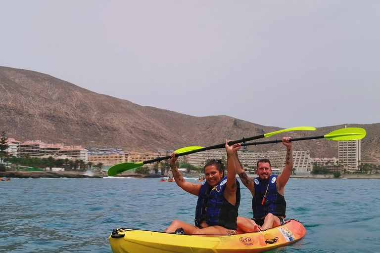 Tenerife:Kayaking and Snorkeling with turtles Tour Kayak + Snorkel with turtle and dolphin watching