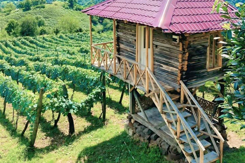 Echoes of Adjara: Mountains, Wine & Tradition