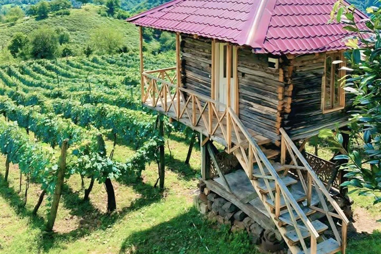 Echoes of Adjara: Mountains, Wine & Tradition