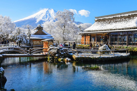 Von Tokio: Fuji-Gebiet - FujiQ - Kawaguchiko-See - Chureito-Pagode