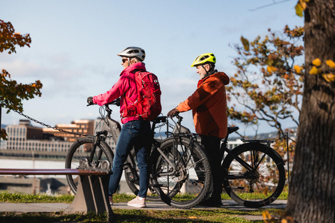 Private Highlights of Oslo by Bike Private Booking 1-4 guests