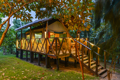 Kibale National Park Chimpanzee Trekking, Culture, Farm tour