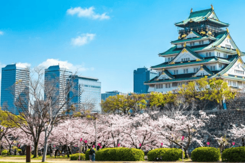 De Osaka: Excursão particular personalizável de 1 dia a Osaka, de carro