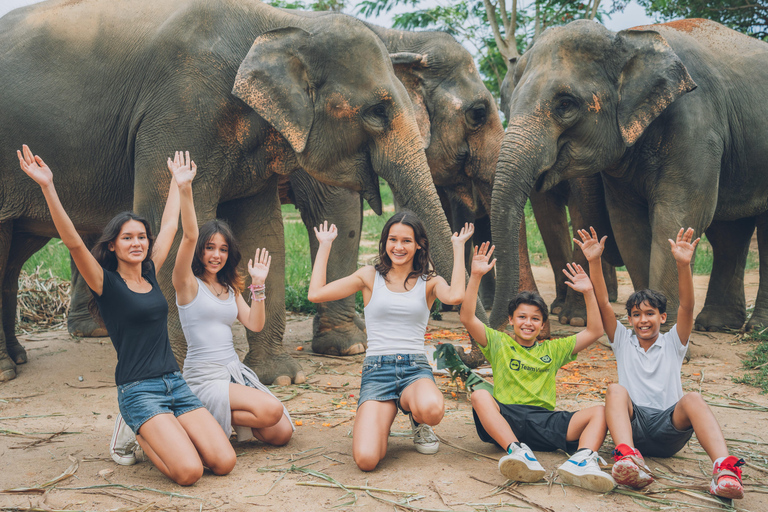 Koh Samui: Elephant Kingdom Sanctuary Half-Day Tour