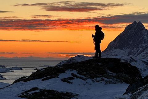 Reine: Winter Snowshoe Hike to Ryten – With Local Guide