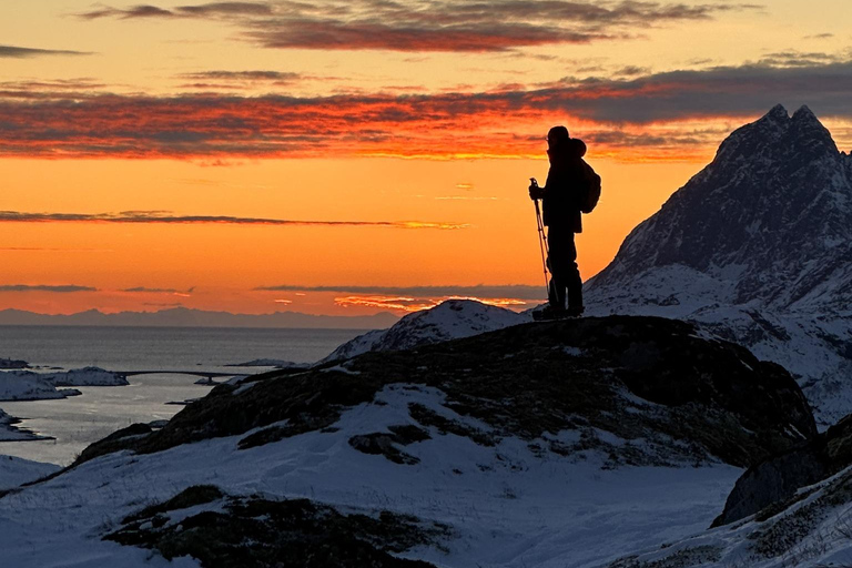 Reine: Winter Snowshoe Hike to Ryten – With Local Guide